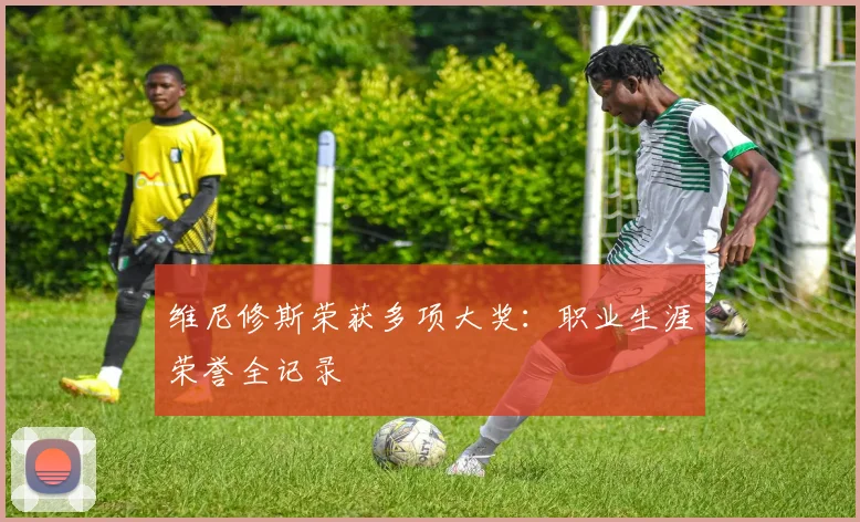维尼修斯荣获多项大奖:职业生涯荣誉全记录