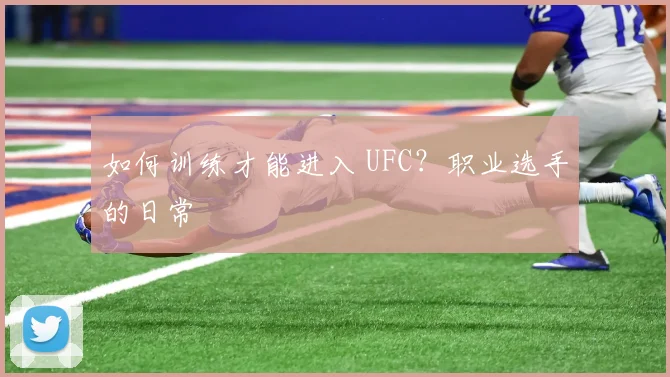 如何训练才能进入 UFC？职业选手的日常