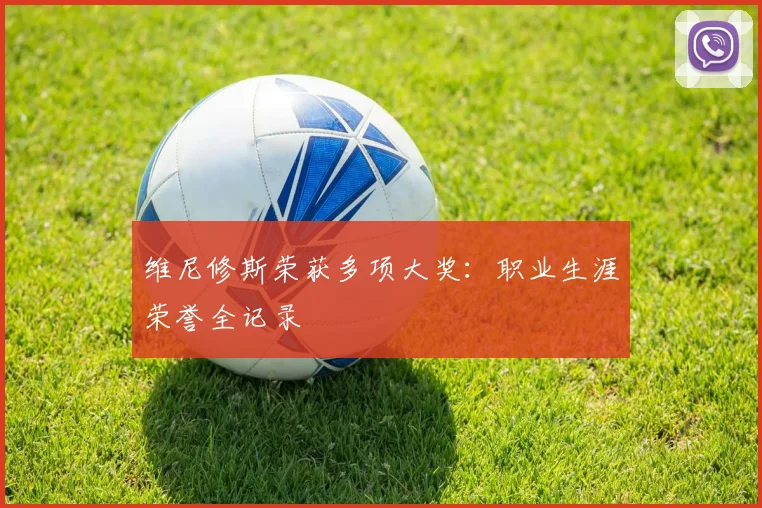 维尼修斯荣获多项大奖：职业生涯荣誉全记录